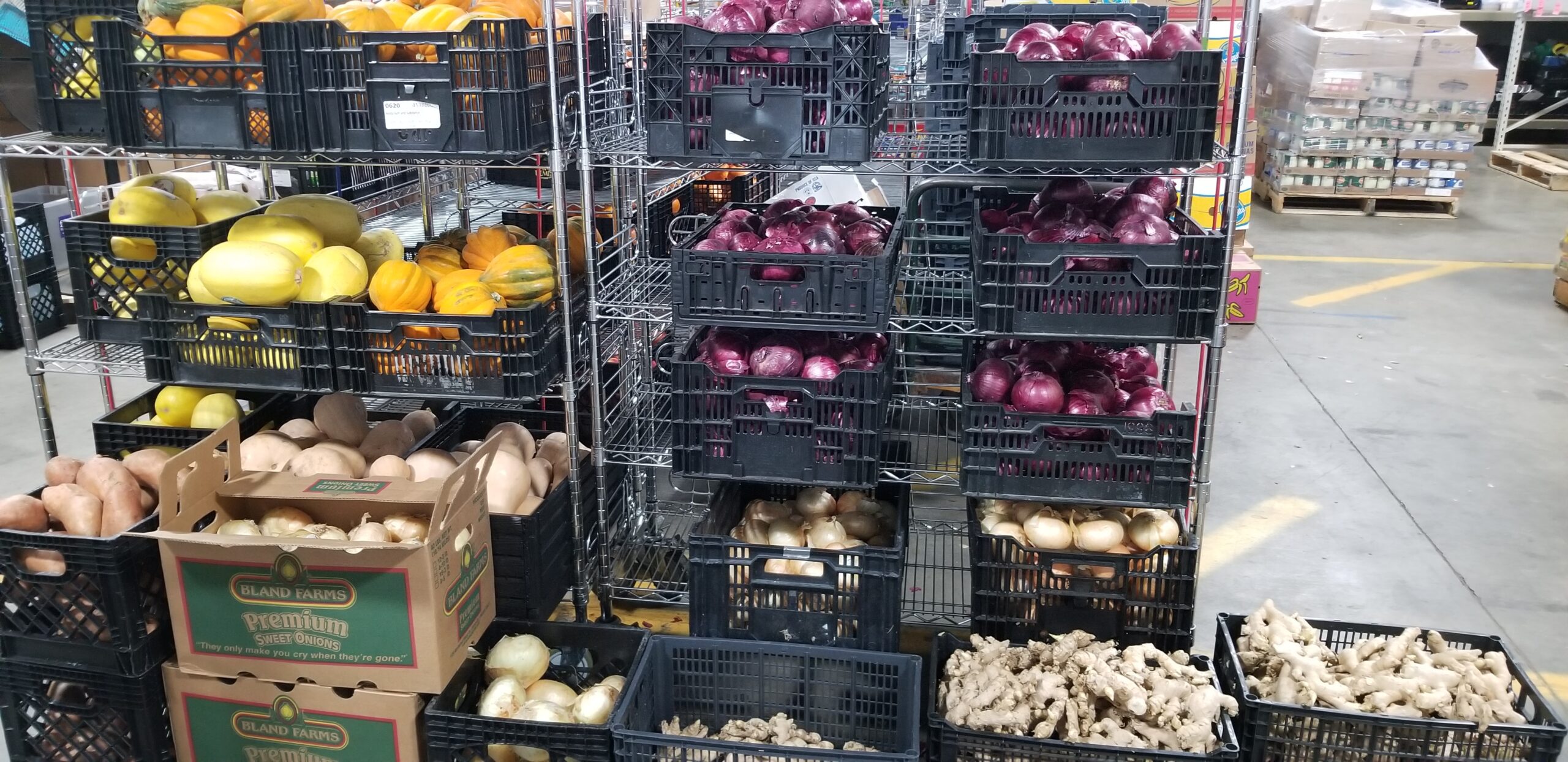 Fresh produce ready for Food For Thought neighbors
